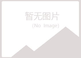 根河夏日咨询有限公司